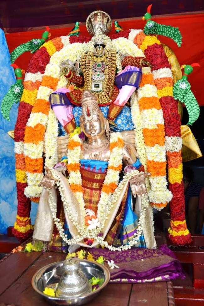 sydney-perumal-temple-brahmotsavam-garuda-sevai-2016015