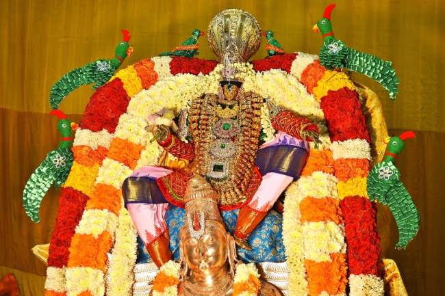 sydney-perumal-temple-brahmotsavam-garuda-sevai-2016020
