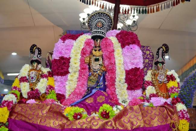 sydney-perumal-temple-brahmotsavam-day-10-2016007