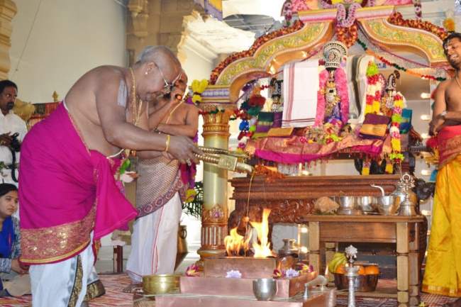 sydney-perumal-temple-brahmotsavam-thirukalyana-utsavam-2016016