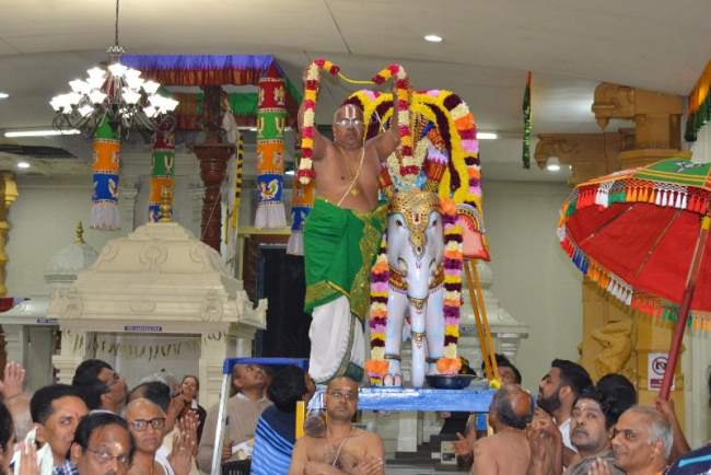 sydney-perumal-temple-brahmotsavam-yanai-vahanam-2016009