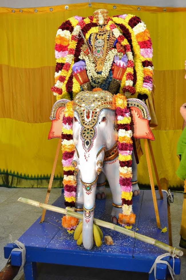 sydney-perumal-temple-brahmotsavam-yanai-vahanam-2016011