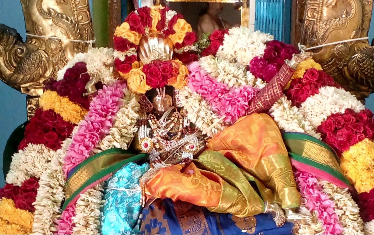 thirukannamangai-swami-desikan-thirunakshatra-utsavam-day-7-1-2016