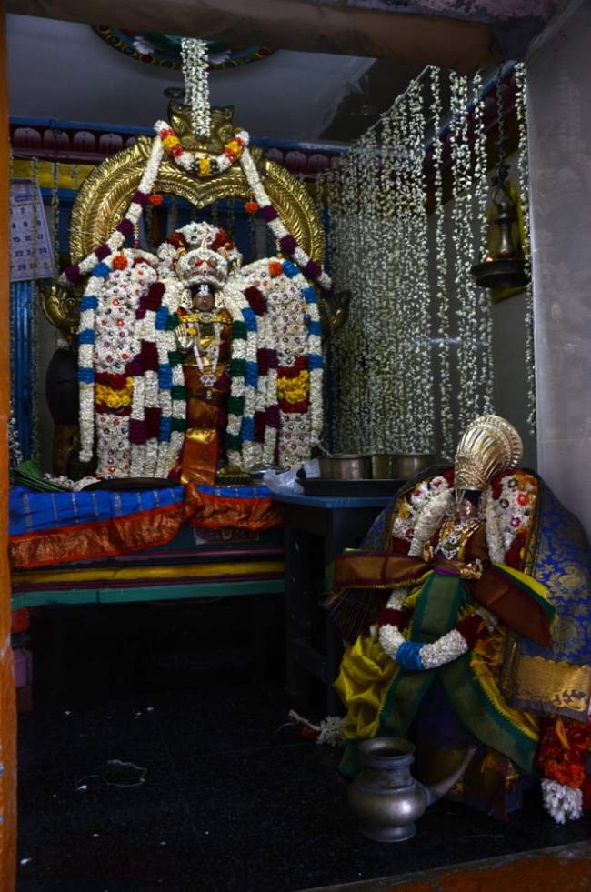 thirukannamangai-swami-desikan-thirunakshatra-utsavam-periya-satrumurai012