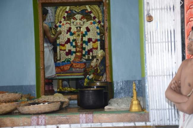 thirukannamangai-swami-desikan-thirunakshatra-utsavam-periya-satrumurai032