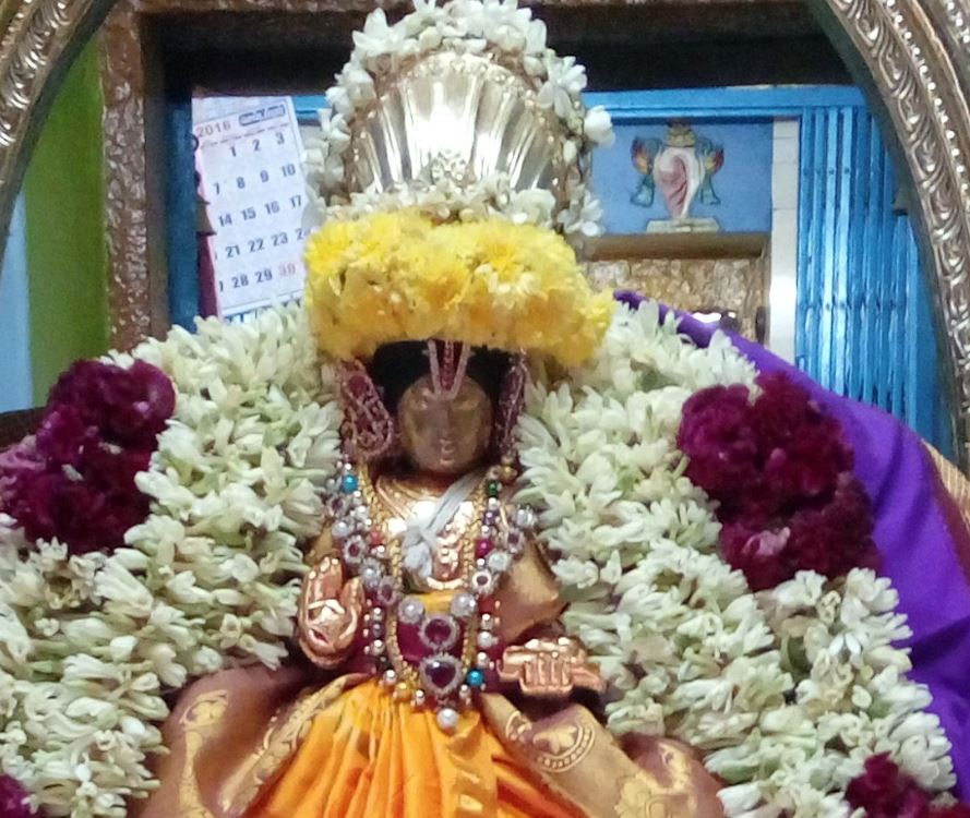 thirukannamangai-swami-desikan-thirunakshatra-utsavam-day-9-2016