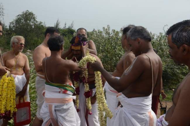 thirukannamangai-swami-desikan-thirunakshatra-utsavam-theertham-grahithal-2016014