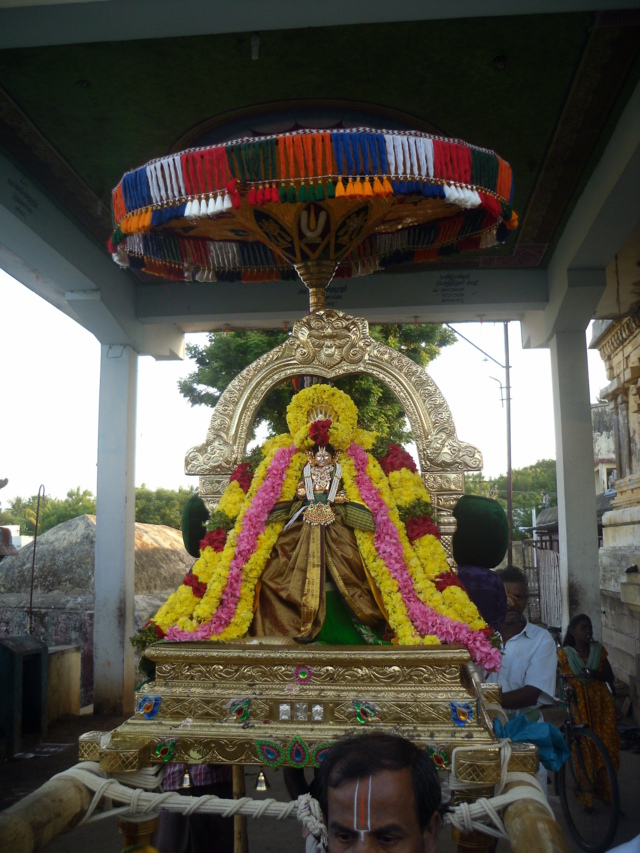 thirukannamangai-swami-desikan-thirunakshatra-utsavam-2016-17