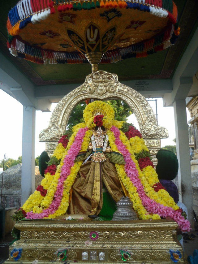 thirukannamangai-swami-desikan-thirunakshatra-utsavam-2016-18