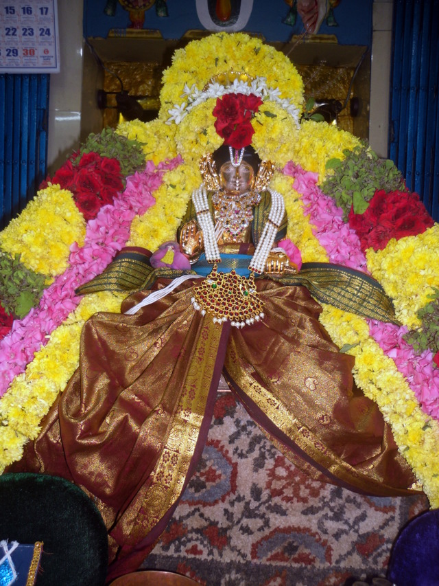 thirukannamangai-swami-desikan-thirunakshatra-utsavam-2016-29