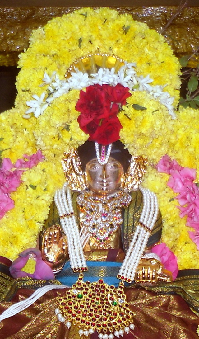 thirukannamangai-swami-desikan-thirunakshatra-utsavam-2016-31