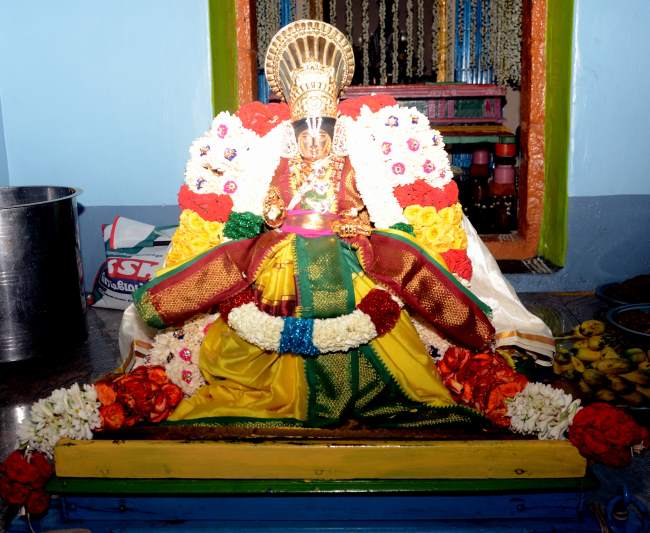 thirukannamangai-swami-desikan-thirunakshatra-utsavam-mangalasasanam-2016002