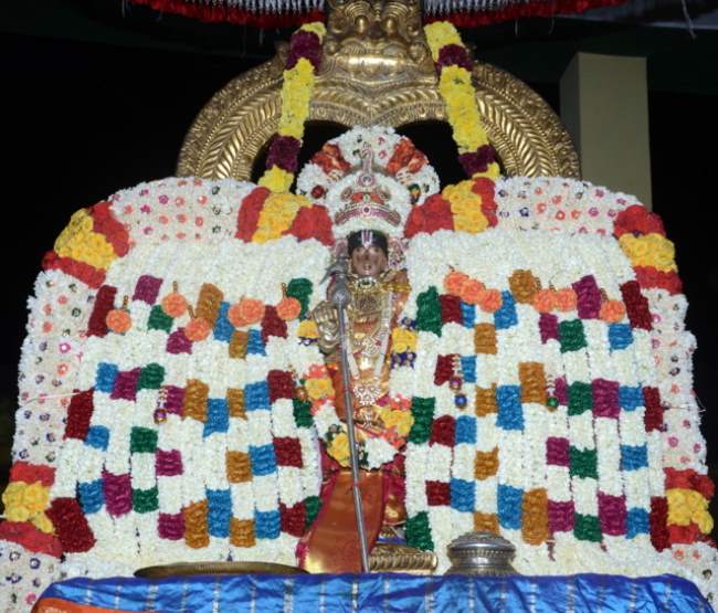 thirukannamangai-swami-desikan-thirunakshatra-utsavam-mangalasasanam-2016014