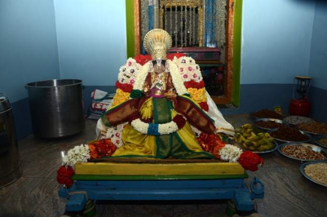 thirukannamangai-swami-desikan-thirunakshatra-utsavam-mangalasasanam-2016018