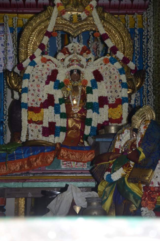 thirukannamangai-swami-desikan-thirunakshatra-utsavam-mangalasasanam-2016046
