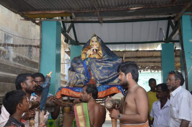 thirukannamangai-swami-desikan-thirunakshatra-utsavam-panimukkatu-sevai-2016015