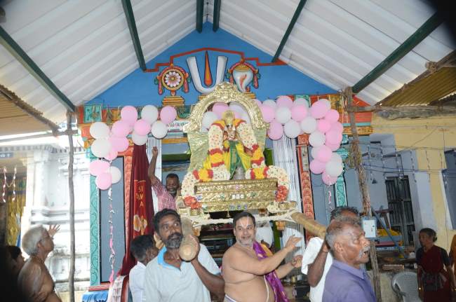 thirukannamangai-swami-desikan-thirunakshatra-utsavam-vidayatri-purappadu-2016003