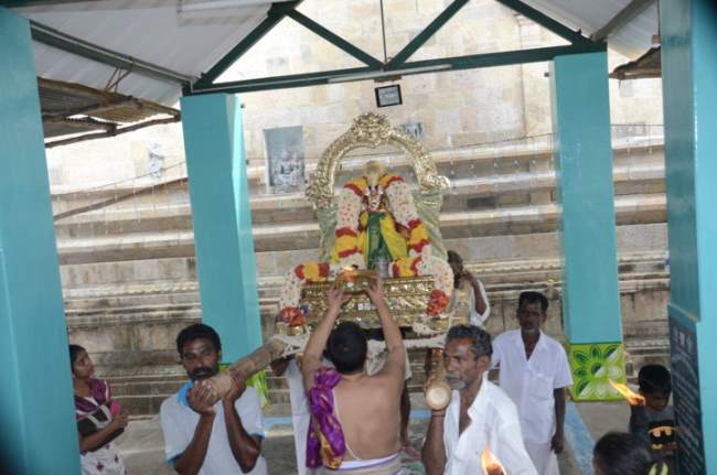 thirukannamangai-swami-desikan-thirunakshatra-utsavam-vidayatri-purappadu-2016019