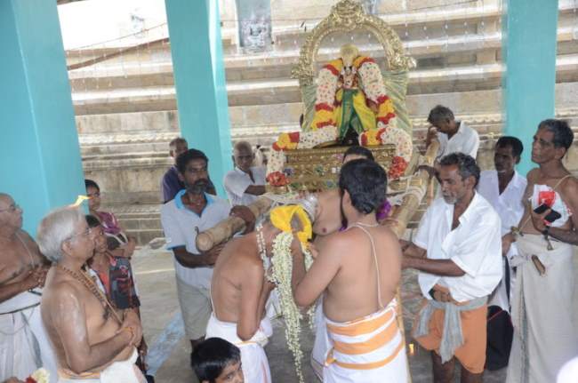 thirukannamangai-swami-desikan-thirunakshatra-utsavam-vidayatri-purappadu-2016023