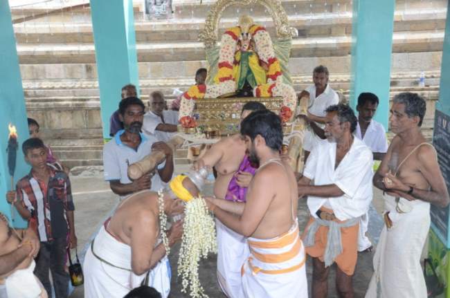 thirukannamangai-swami-desikan-thirunakshatra-utsavam-vidayatri-purappadu-2016024