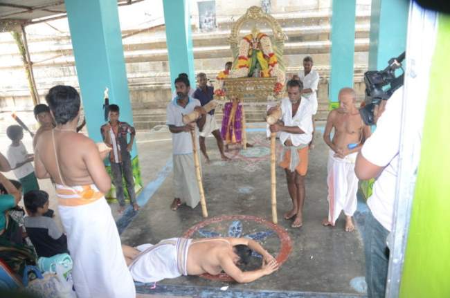 thirukannamangai-swami-desikan-thirunakshatra-utsavam-vidayatri-purappadu-2016039