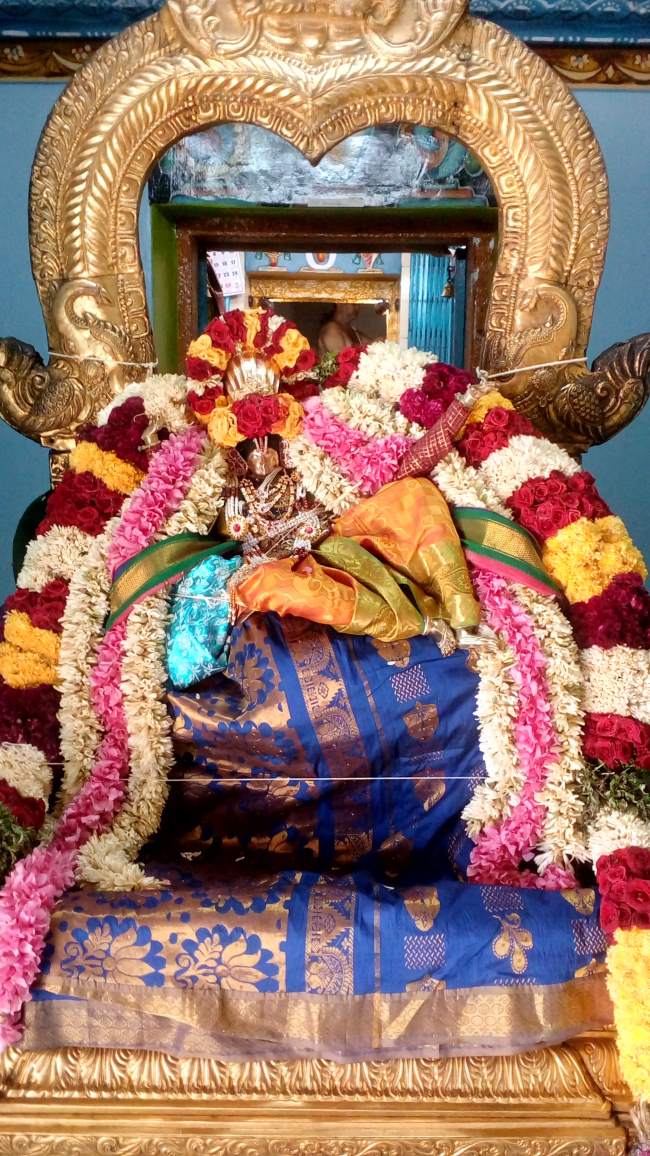 thirukannamangai-swami-desikan-thirunakshatra-utsavam-day-7-2016001