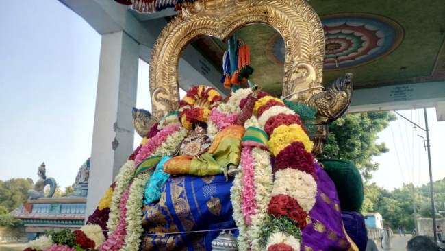 thirukannamangai-swami-desikan-thirunakshatra-utsavam-day-7-2016009