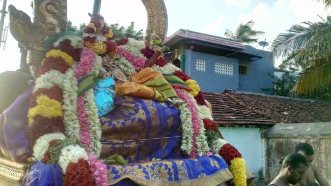 thirukannamangai-swami-desikan-thirunakshatra-utsavam-day-7-2016012
