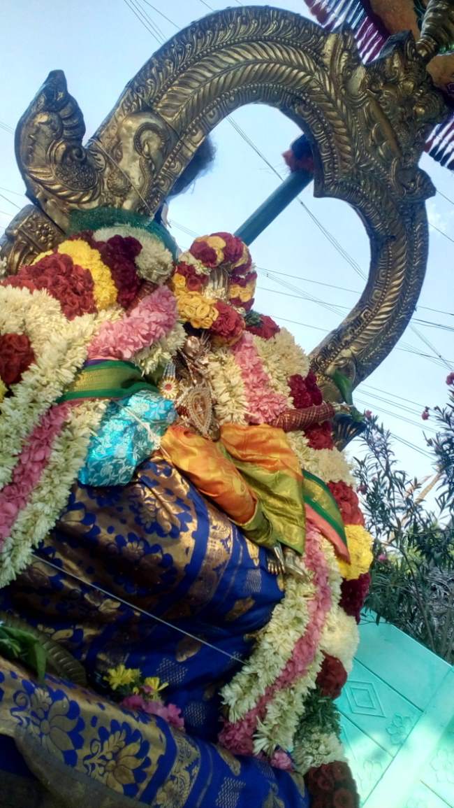 thirukannamangai-swami-desikan-thirunakshatra-utsavam-day-7-2016014