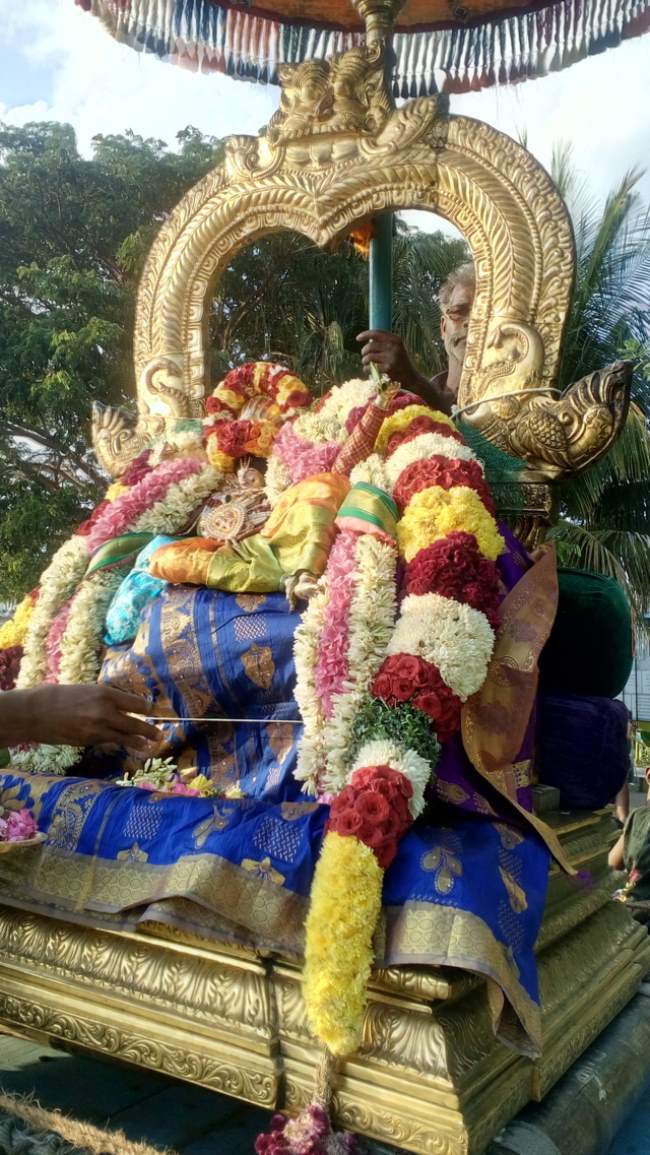thirukannamangai-swami-desikan-thirunakshatra-utsavam-day-7-2016016