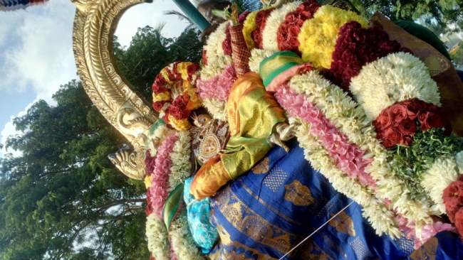 thirukannamangai-swami-desikan-thirunakshatra-utsavam-day-7-2016017