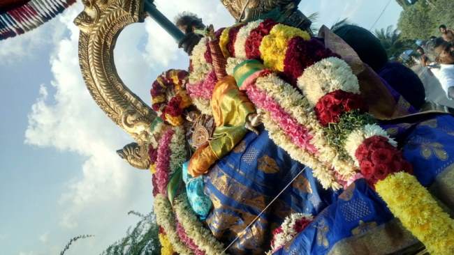thirukannamangai-swami-desikan-thirunakshatra-utsavam-day-7-2016019