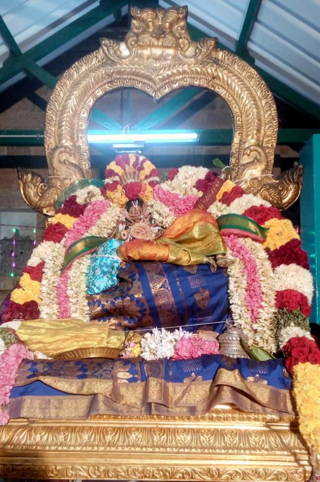 thirukannamangai-swami-desikan-thirunakshatra-utsavam-day-7-2016026