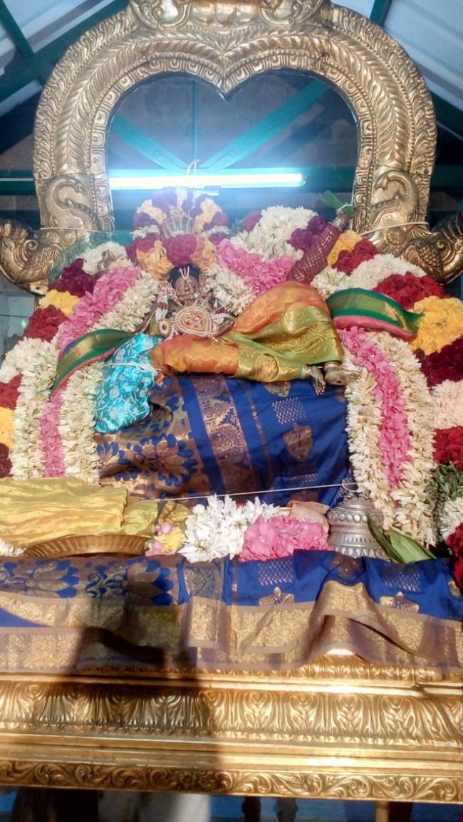 thirukannamangai-swami-desikan-thirunakshatra-utsavam-day-7-2016027
