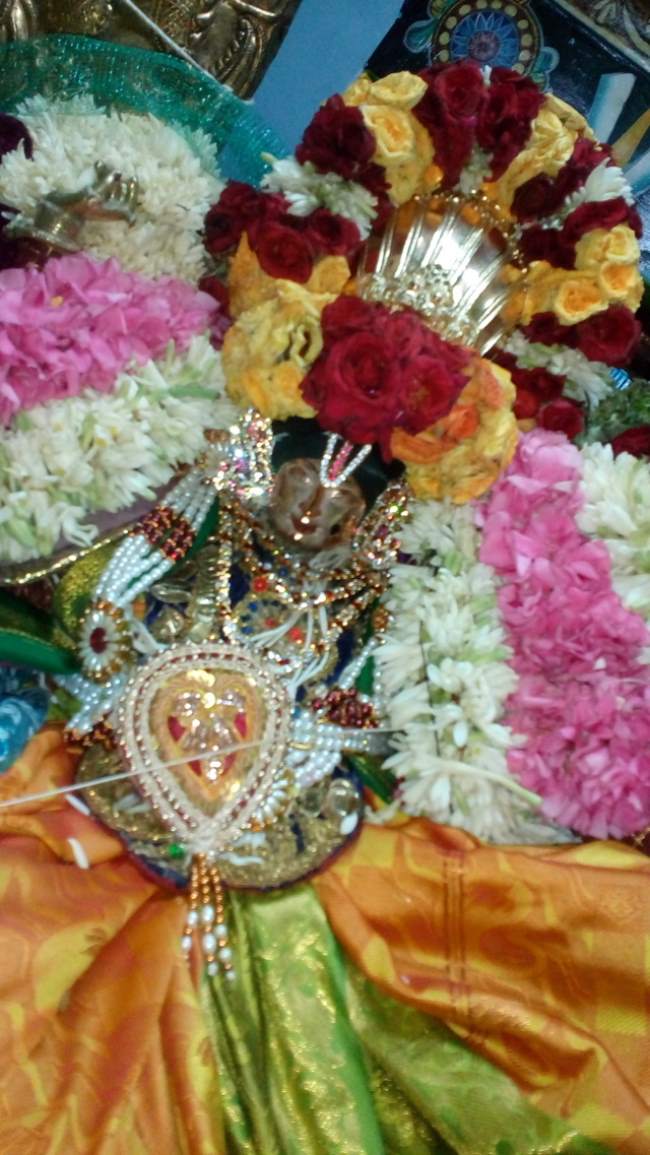 thirukannamangai-swami-desikan-thirunakshatra-utsavam-day-7-2016030