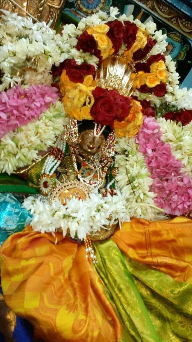 thirukannamangai-swami-desikan-thirunakshatra-utsavam-day-7-2016033