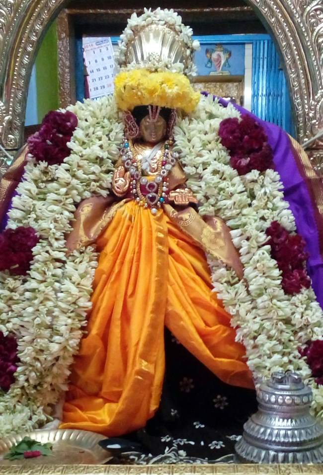 thirukannamangai-swami-desikan-thirunakshatra-utsavam-day-9-2016001