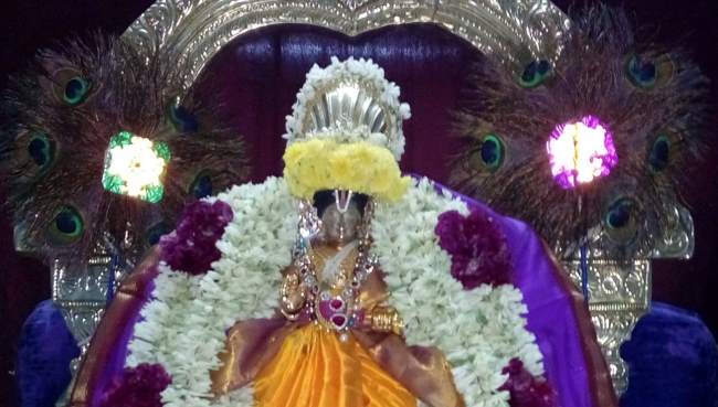 thirukannamangai-swami-desikan-thirunakshatra-utsavam-day-9-2016004