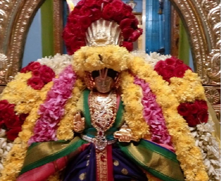 thirukannamangai-swami-desikan-thirunakshatra-utsvam-day-2-2016