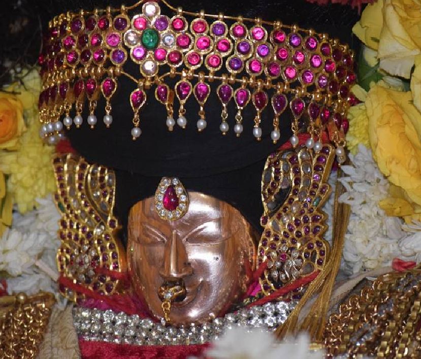 thiruvahindarpuram-swami-desikan-thirunakshatra-utsavam-day-6-2016