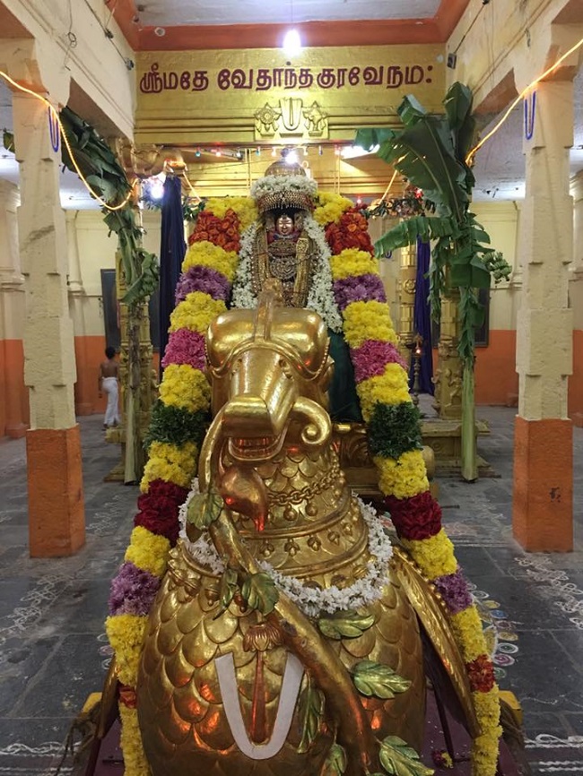 thiruvahindrapuram-swami-desikan-hamsa-vahanam-2016-1