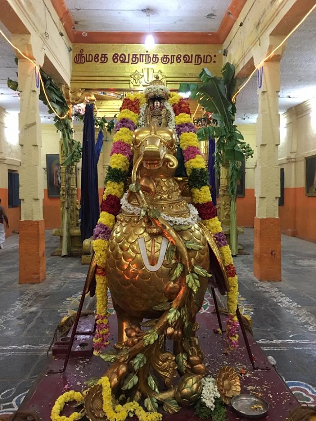 thiruvahindrapuram-swami-desikan-hamsa-vahanam-2016-2