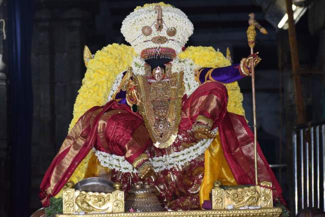 thiruvahindrapuram-swami-desikan-simha-vahanam-2016001