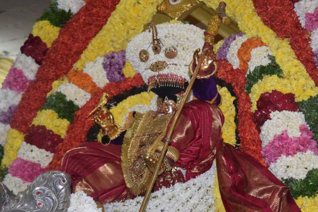 thiruvahindrapuram-swami-desikan-simha-vahanam-2016012