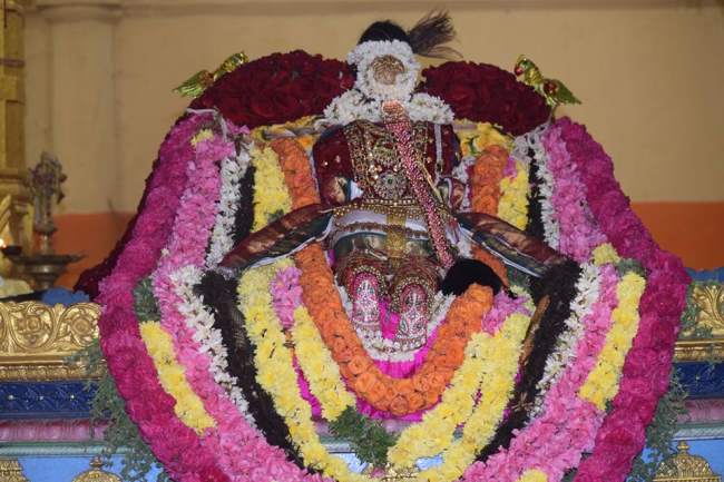 thiruvahindrapuram-swami-desikan-thirunakshatara-utsavam-day-6-2016002
