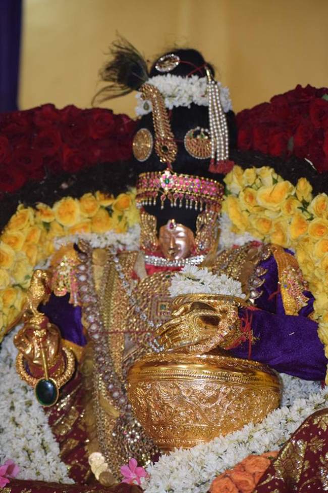 thiruvahindrapuram-swami-desikan-thirunakshatara-utsavam-day-6-2016020
