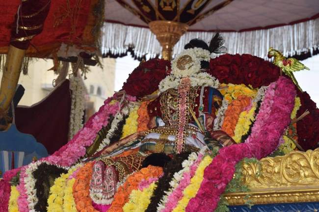 thiruvahindrapuram-swami-desikan-thirunakshatara-utsavam-day-6-2016027