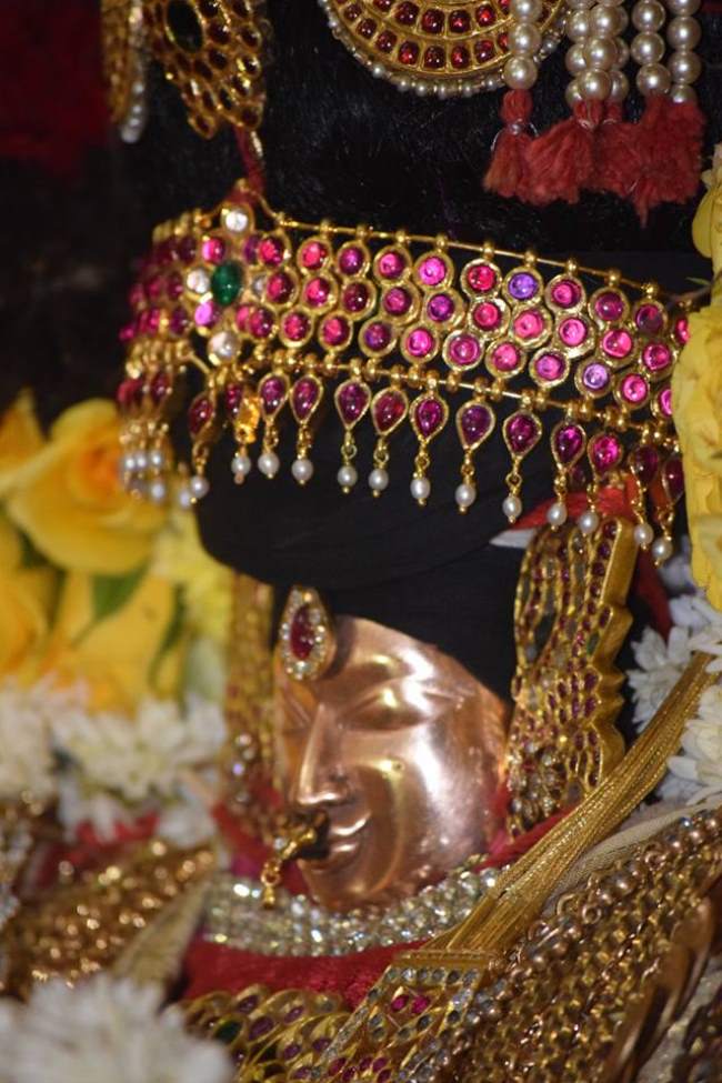 thiruvahindrapuram-swami-desikan-thirunakshatara-utsavam-day-6-2016028
