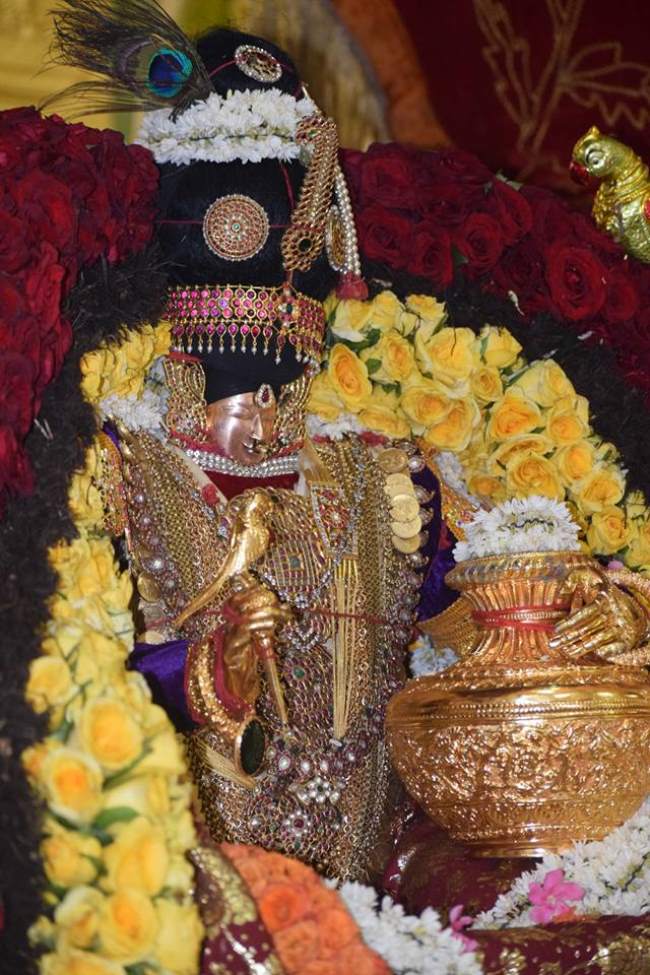 thiruvahindrapuram-swami-desikan-thirunakshatara-utsavam-day-6-2016029