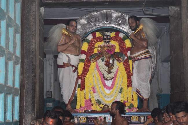 thiruvahindrapuram-swami-desikan-thirunakshatra-utsavam-day-4-evening-2016005